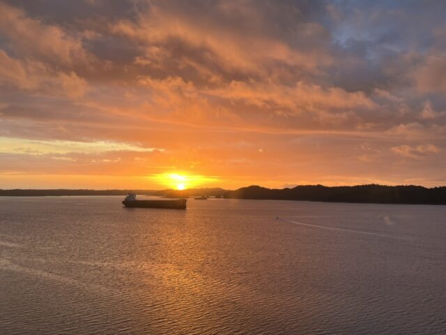 Sunset casting over the waters of the harbour with a freighter in the distance.